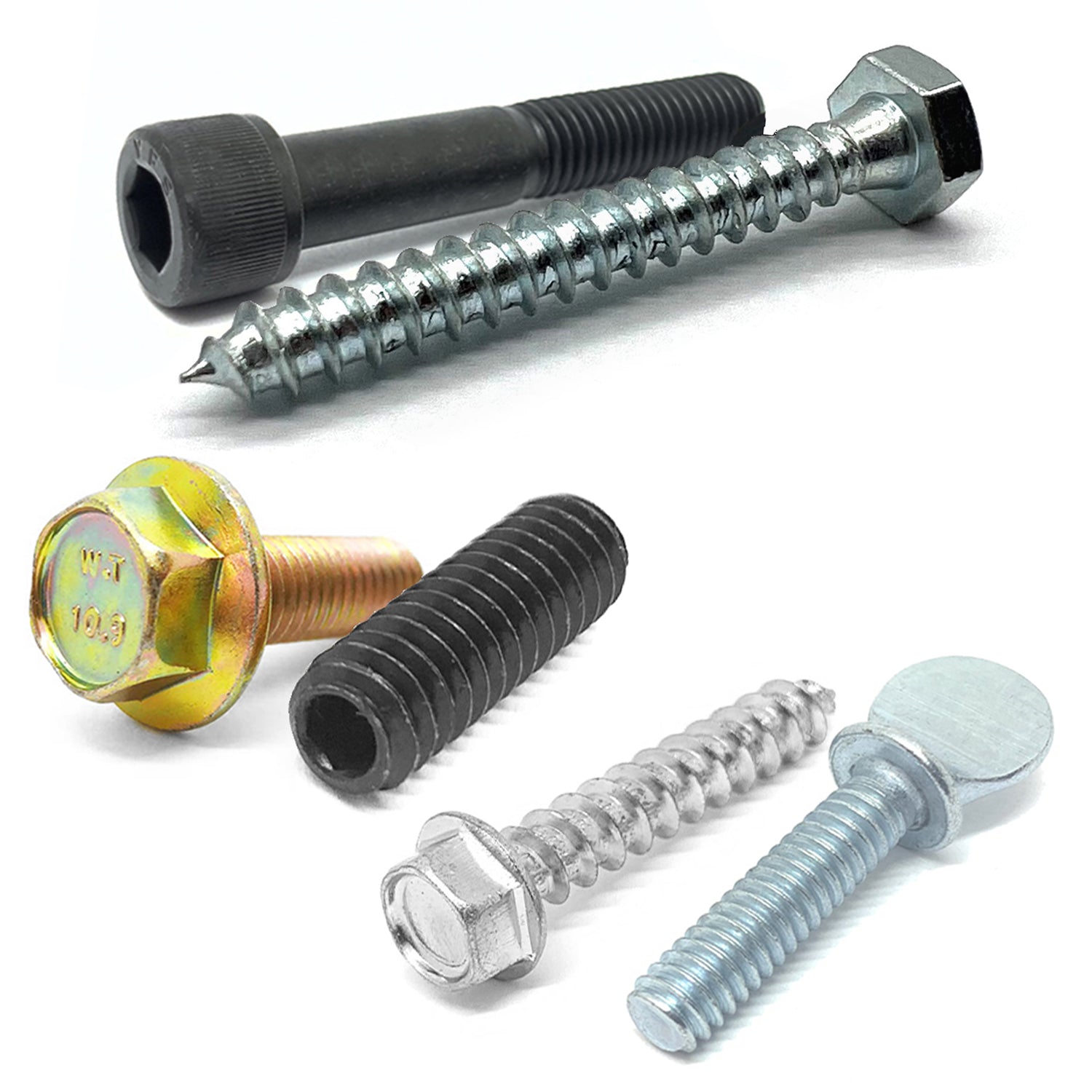 Screws & Bolts